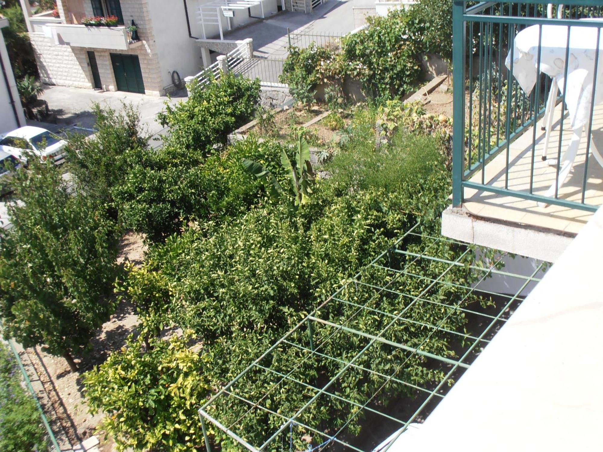 Apartment Villa Besker Makarska Eksteriør billede